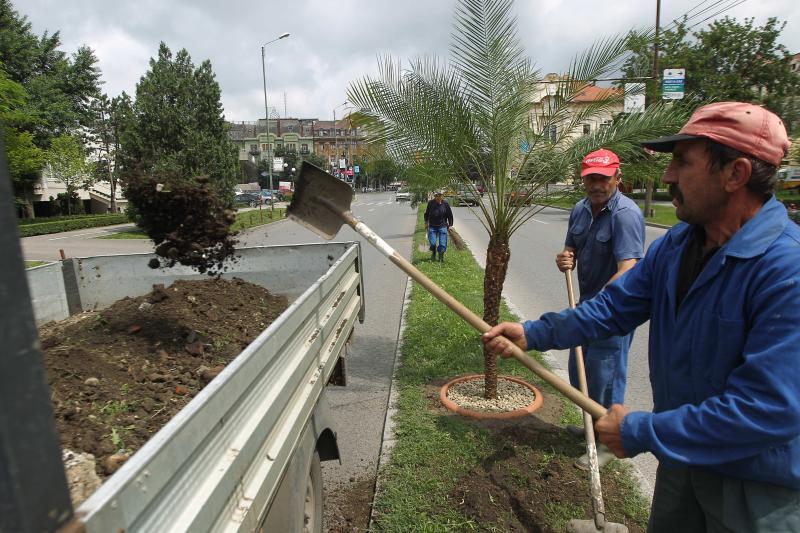 ANI dă peste 5 milioane de euro pe o nouă armă împotriva uneia dintre