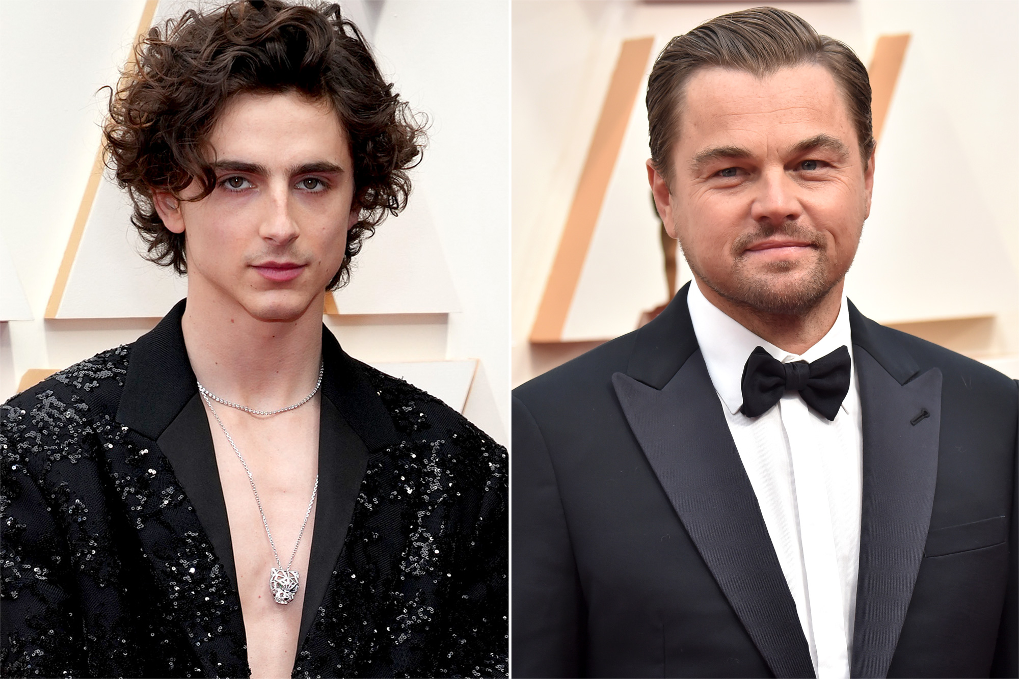 Timothée Chalamet ce sfaturi de cariera a primit de la Leonardo DiCaprio