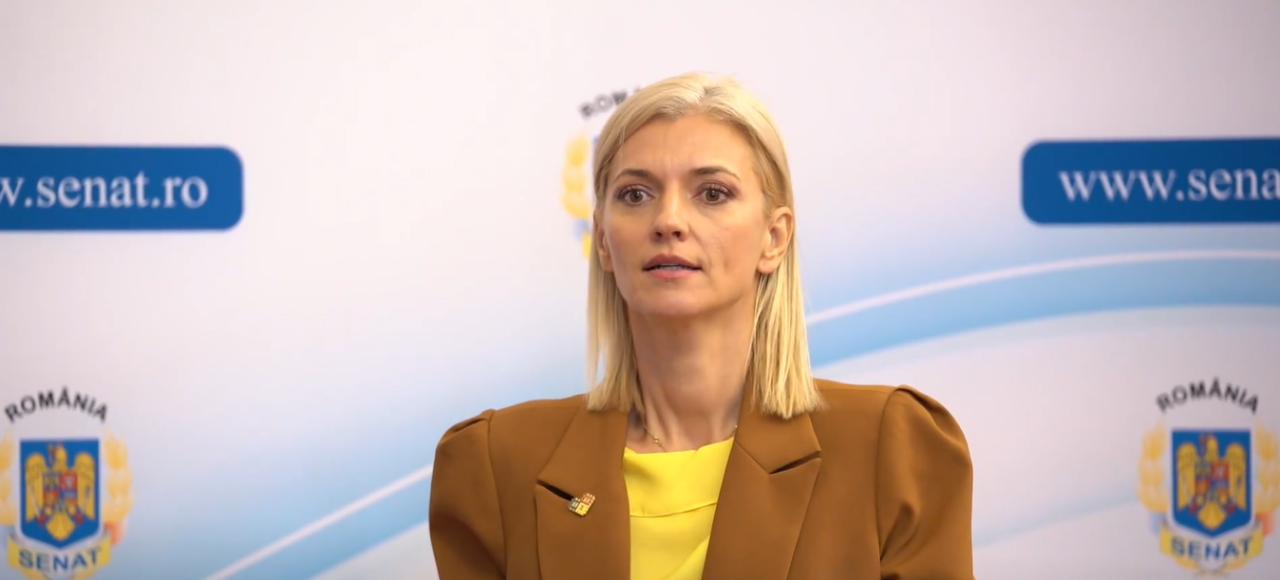 Alina Gorghiu: „Mediul online este vag reglementat, iar „navigarea” pe internet poate deveni periculoasă”