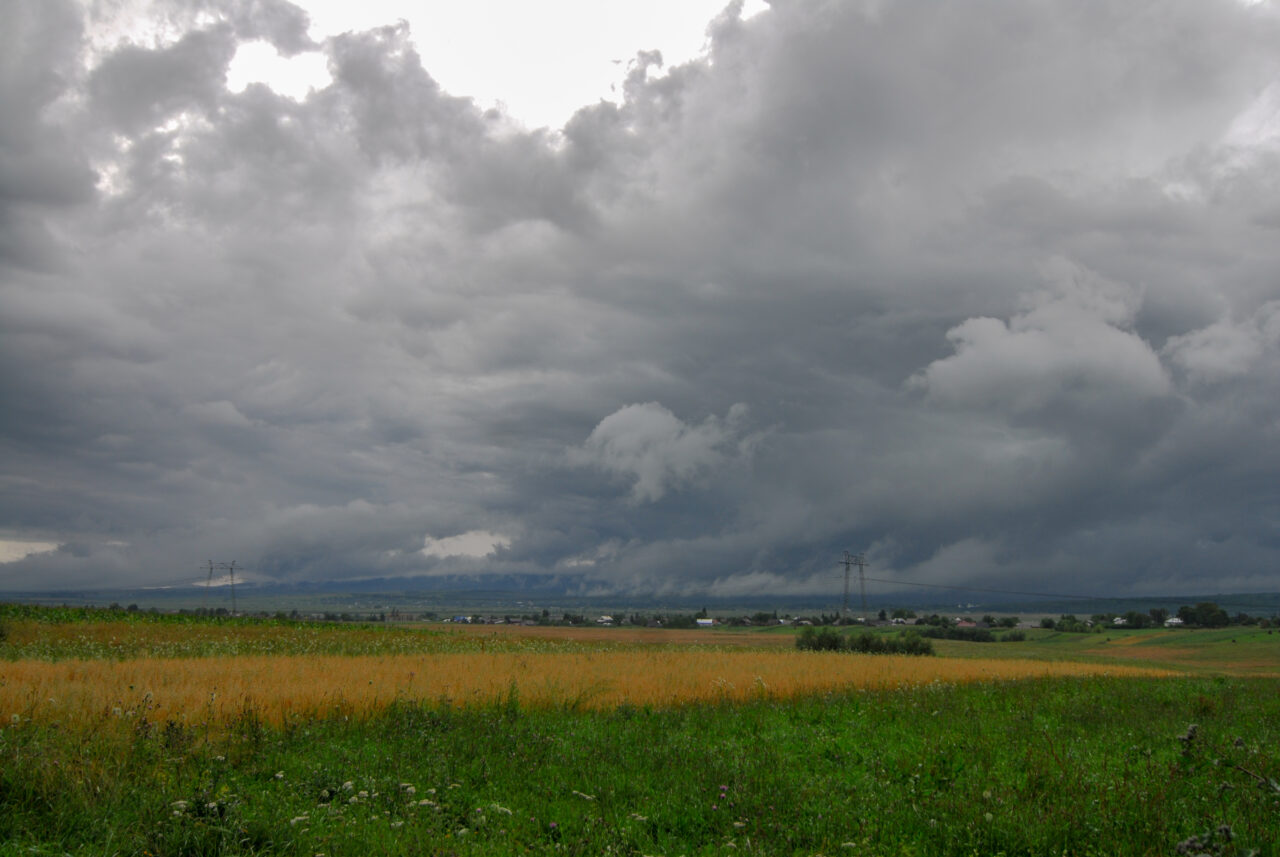 Cod Galben de vânt puternic în 26 de județe, până luni dimineață | HARTĂ