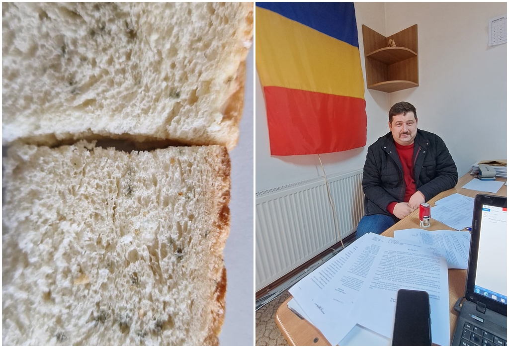 Bread with mold, through the “Hot Meal” program, for students