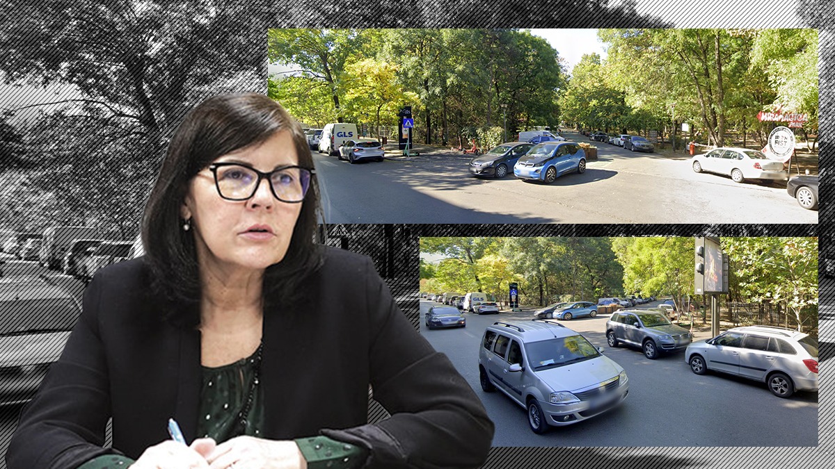 Cum explică șefa ALPAB interzicerea mașinilor în Herăstrău