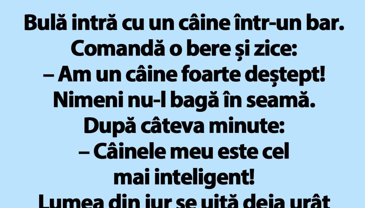 BANC | Bulă intră cu un câine într-un bar