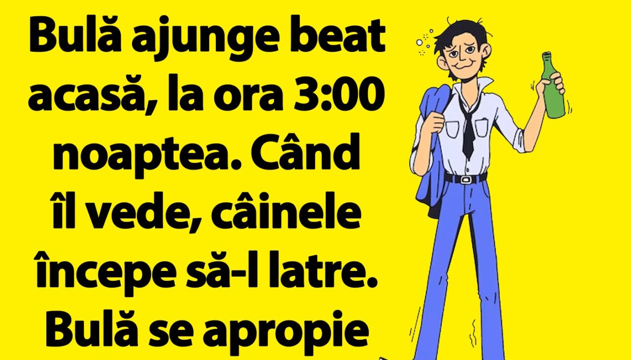 BANC | Bulă ajunge beat acasă, la ora 3:00 noaptea