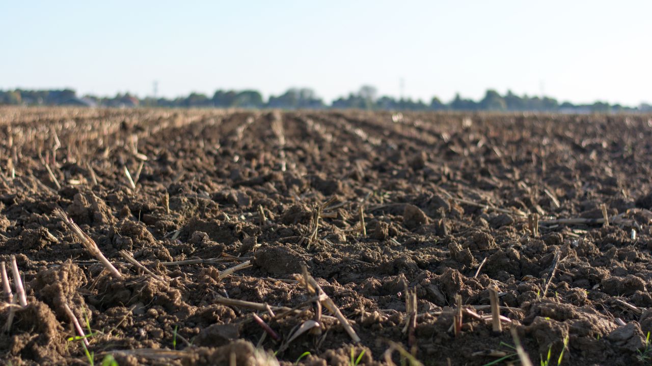 Cât costă un hectar de teren arabil în România. Prețul diferă de la o