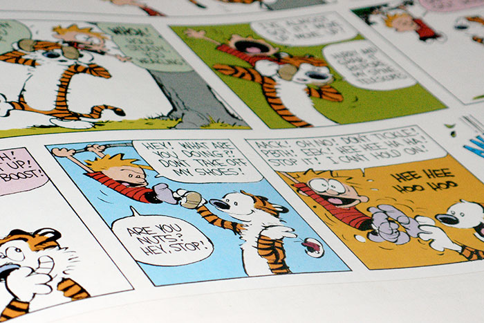 William Boyd Watterson II este un desenator american care a fost autorul benzii desenate Calvin și Hobbes.