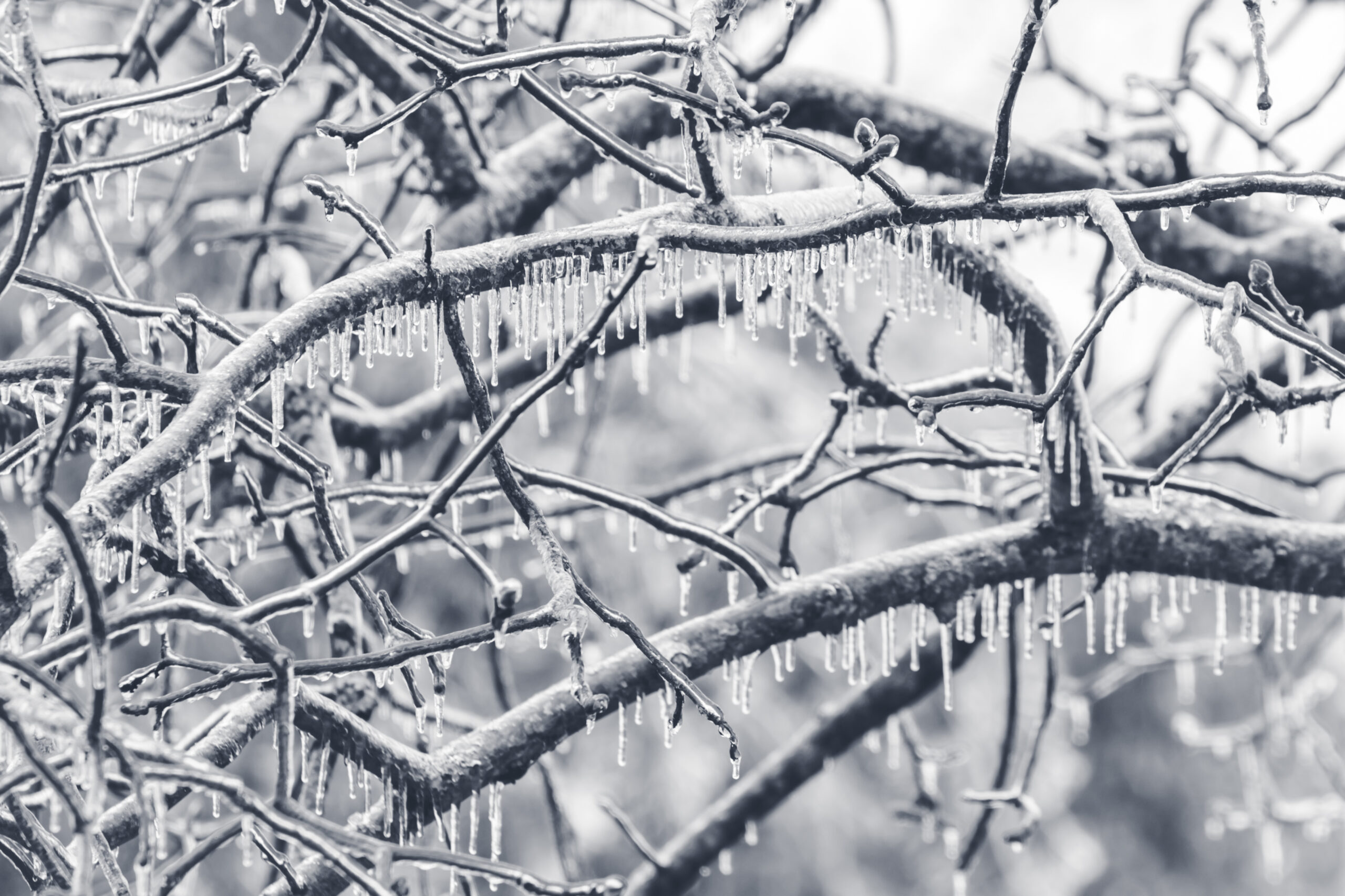 Meteorologii Au Emis Avertizare De Vreme Rea N Rom Nia Furtuna