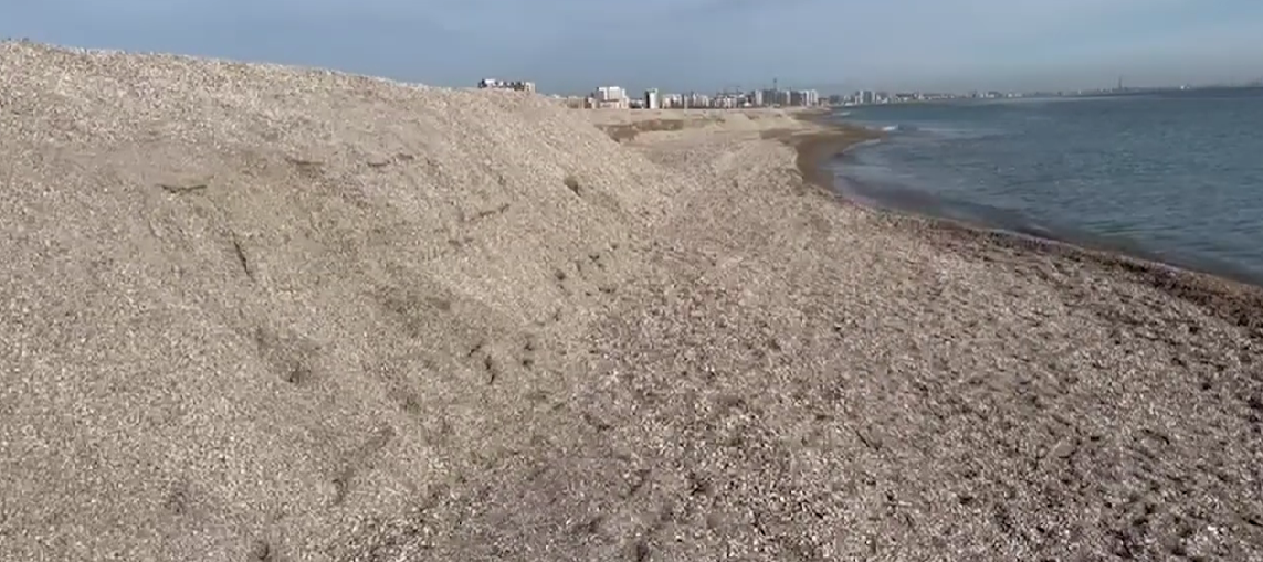 Imagini Desprinse Parc Din Filme Pe Plajele Din Mamaia Dune Uria E