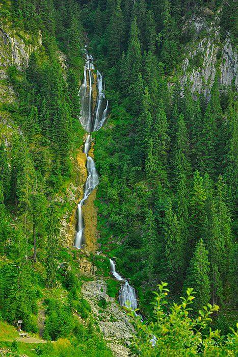 Sursa foto: Facebook/ Telescaun Borsa Cascada Cailor