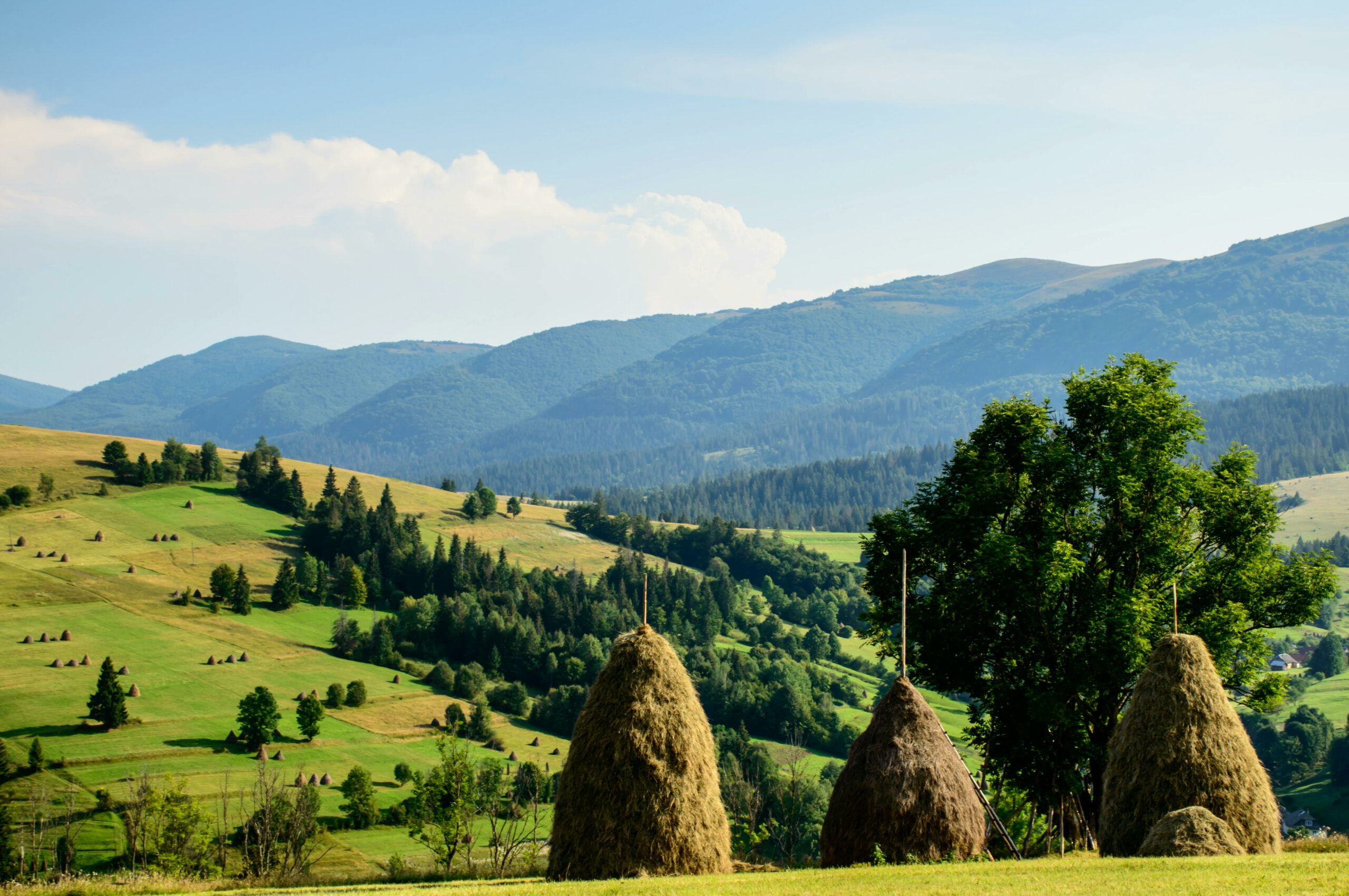 Bucovina, destinația preferată a turiștilor străini. Cât costă o noapte de cazare și ce activități pot face oaspeții