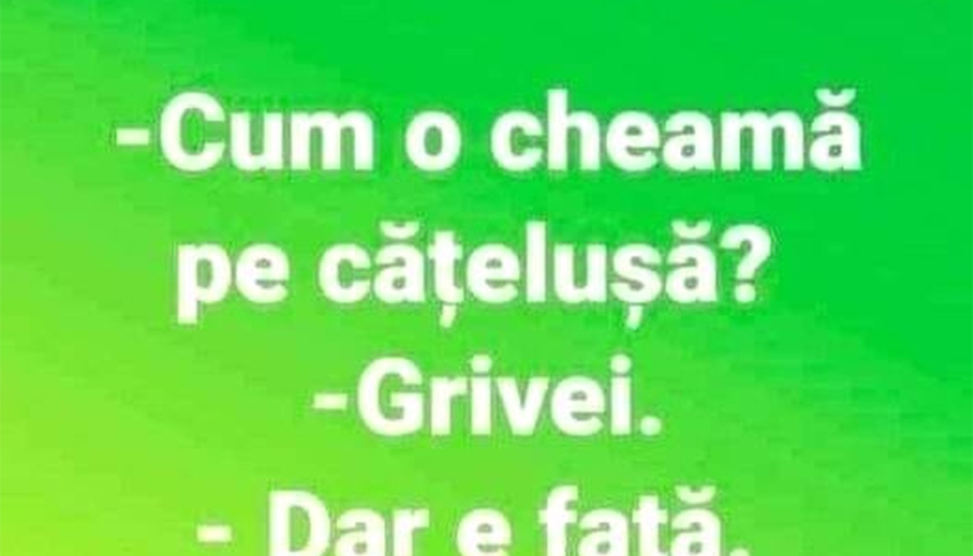 Bancul de sâmbătă | “Cum o cheamă pe cățelușa ta?”