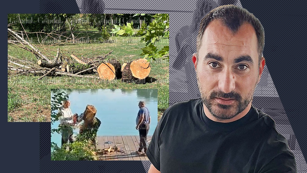 Cum se taie arborii în HERĂSTRĂU ca să se extindă Taverna Racilor. ALPAB, pe mână cu Pescobar! Ce se întâmplă în administrația Nicușor Dan, marele protector al spațiilor verzi