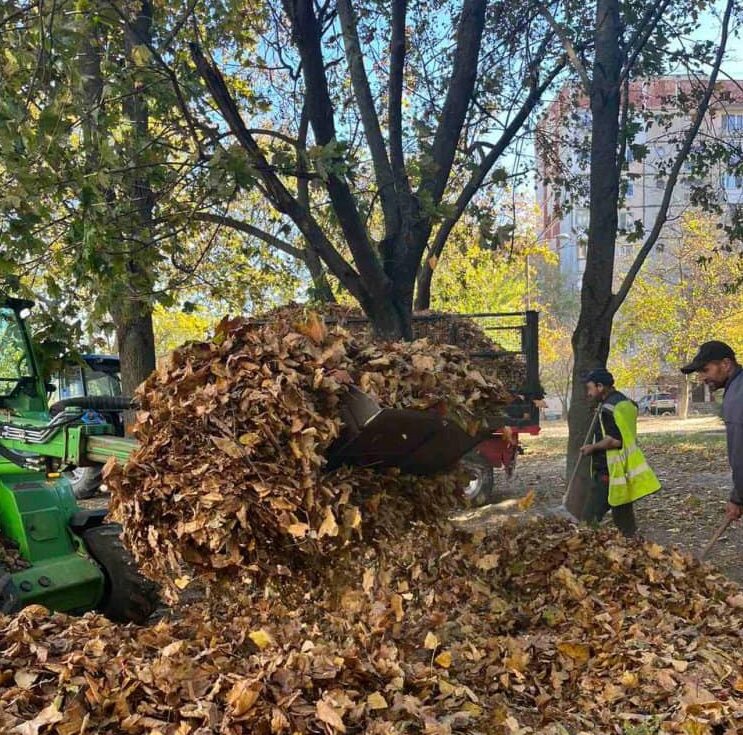 Reciclarea și colectarea selectivă, esențiale pentru protejarea mediului în sezonul de toamnă