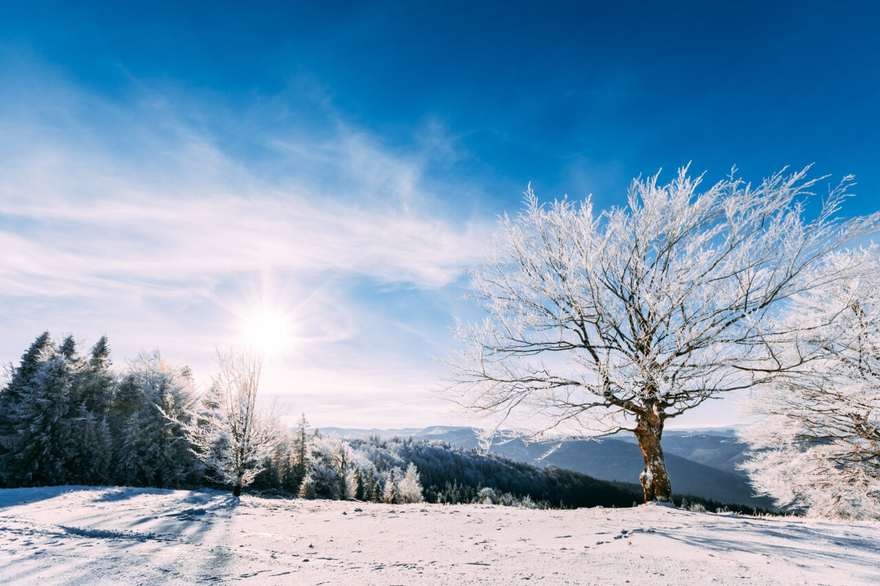 ANM vine cu vești bune: vremea se încălzește în luna martie! Prognoza meteo pentru următoarele 4 săptămâni