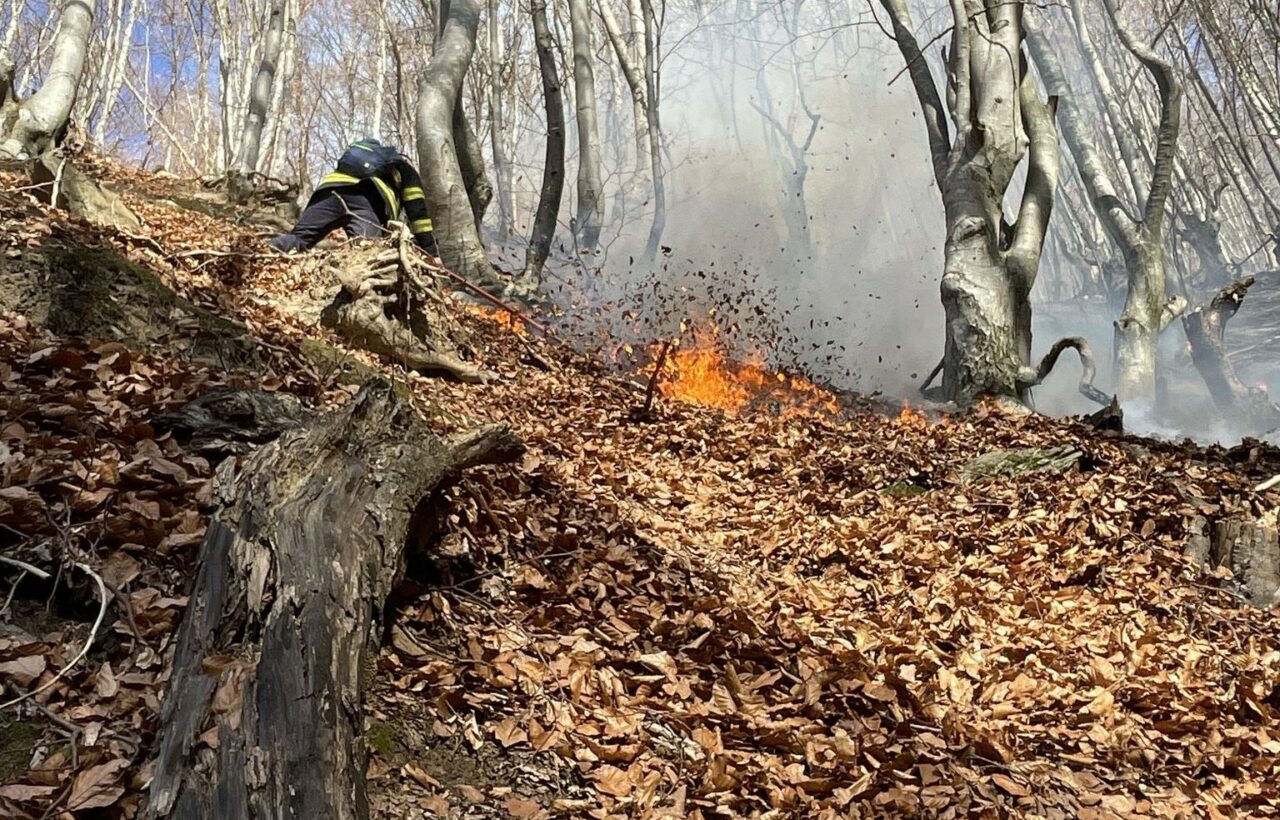 Arde pădurea Boișoara din Vâlcea. Pompierii au cerut ajutorul aviației pentru elicoptere